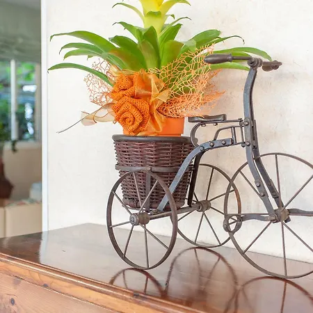 Hotel Benvenuti فندق غاتيو أ ماري