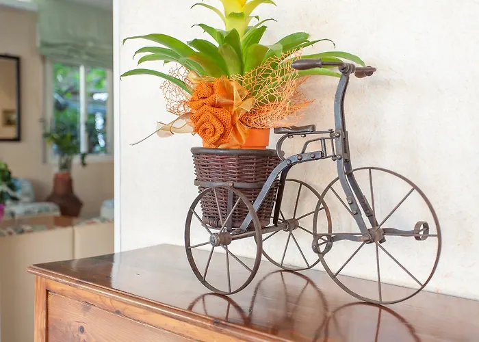 Hotel Benvenuti Hotel Gatteo a Mare